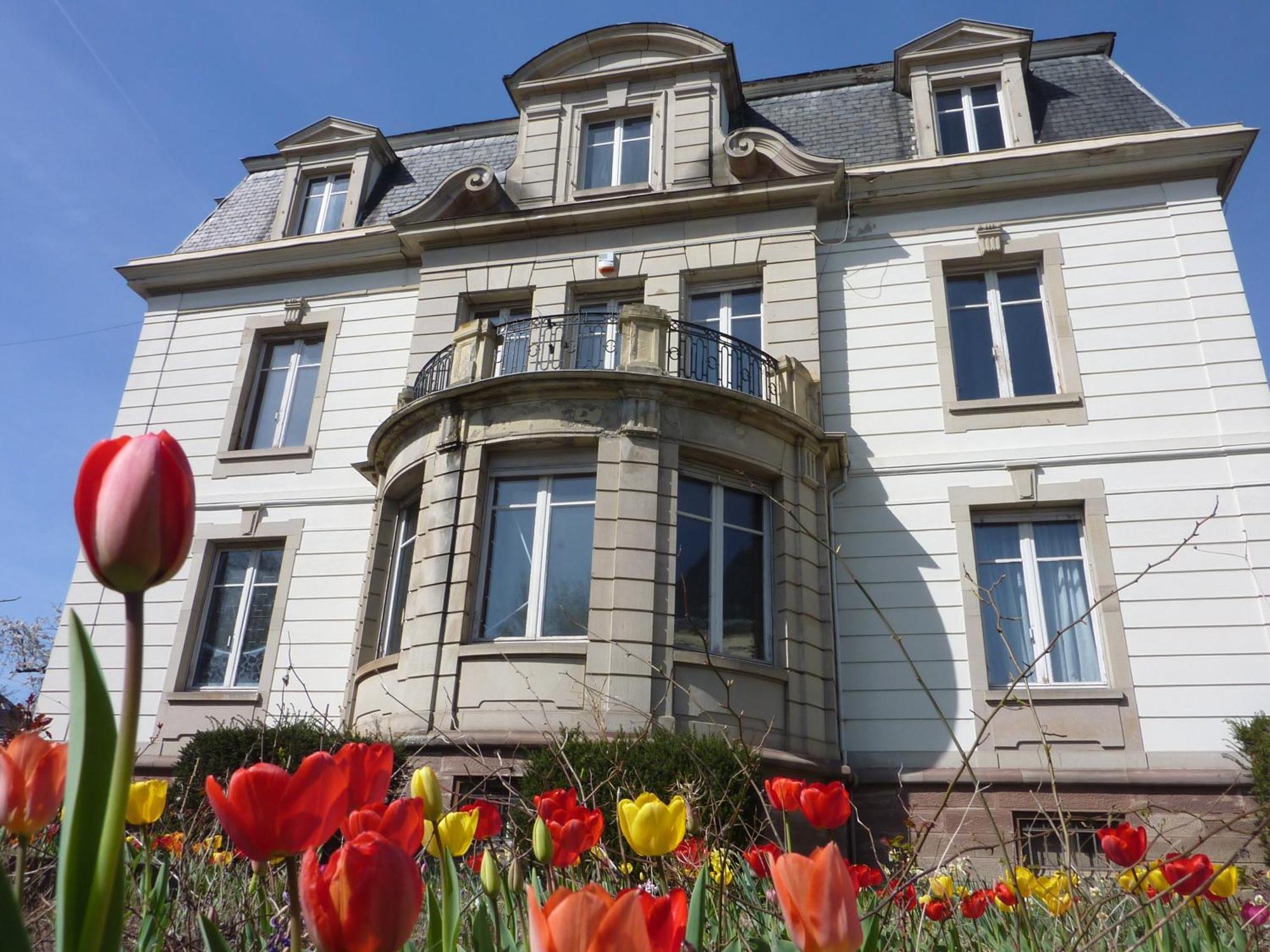 Villa Elyane กอลมาร์ ภายนอก รูปภาพ